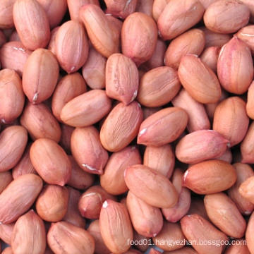 New Crop High Quality Export Blanched Peanut Kernels